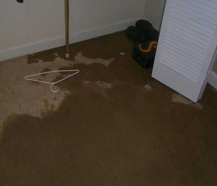 Carpet soaked with water 