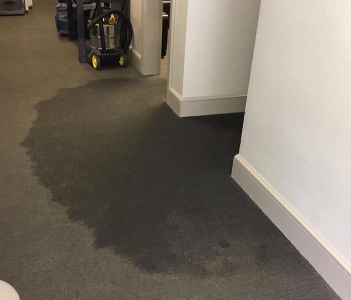 Wet gray office carpet 