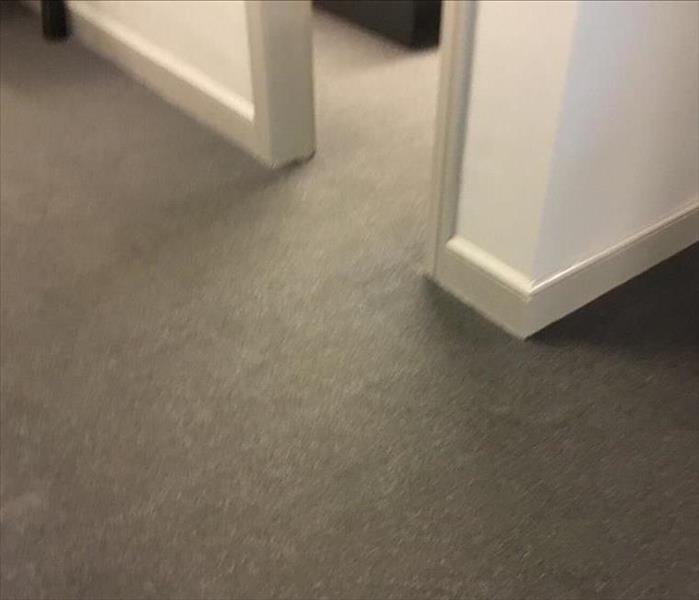 dry grey office carpet 