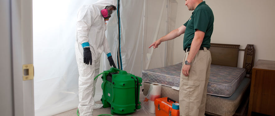 Easley, SC mold removal process